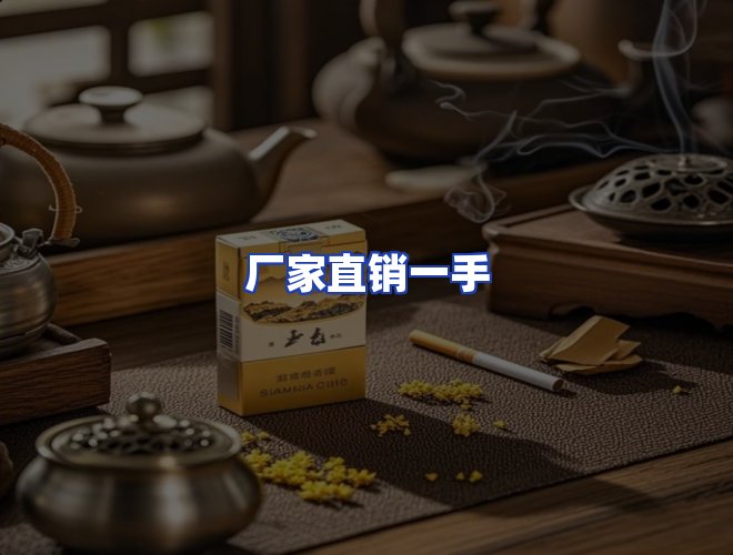 专业团队